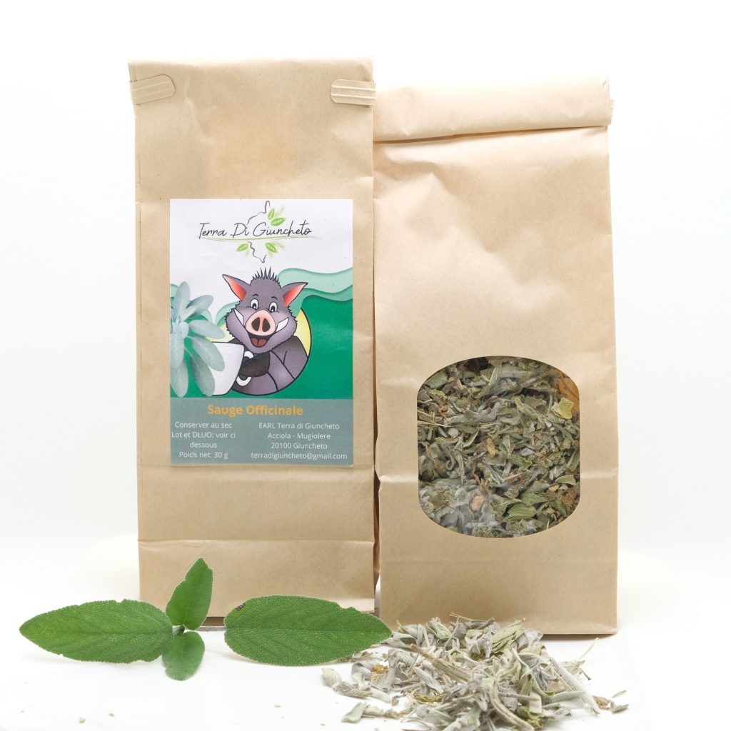 tisane sauge officinale